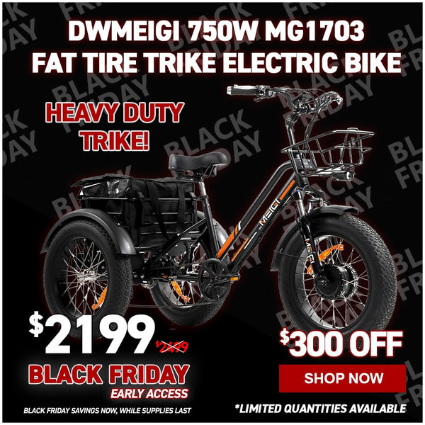 DWMeigi 750W MG1703 Fat Tire Trike Electric Bike