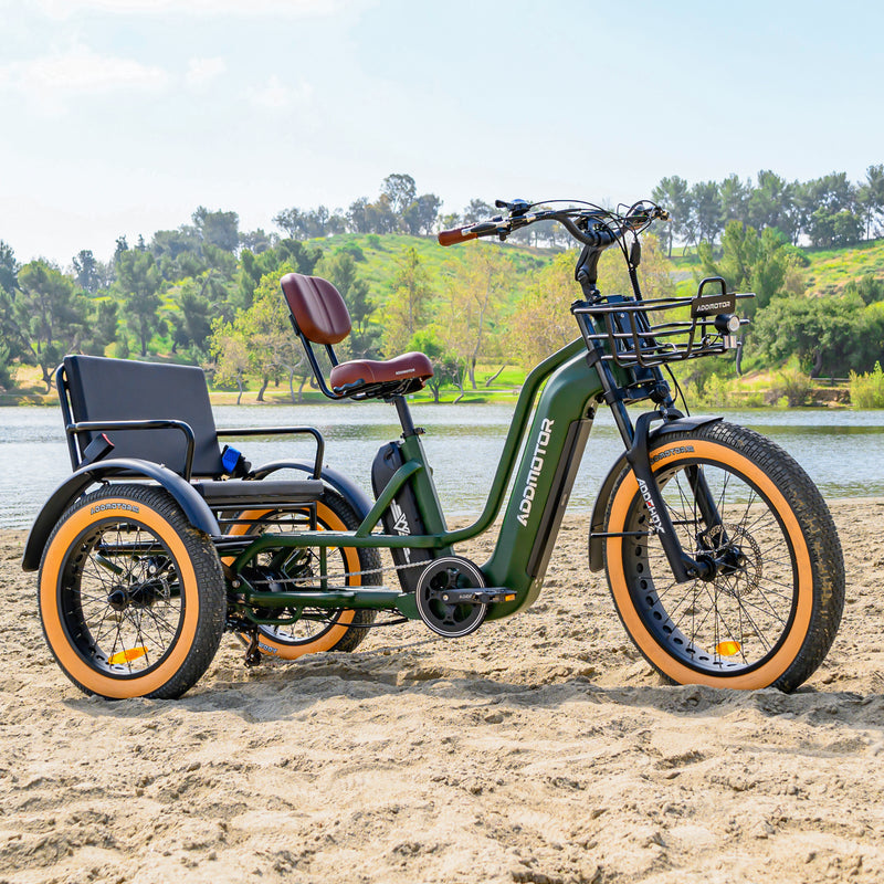 Electric Bike Addmotor GreattanL Lake