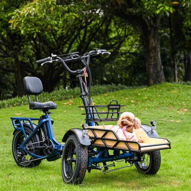 Electric Bike Addmotor Spytan Dog