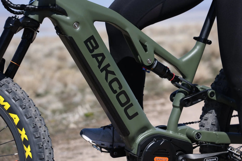 Electric Bike Bakcou Scout Frame