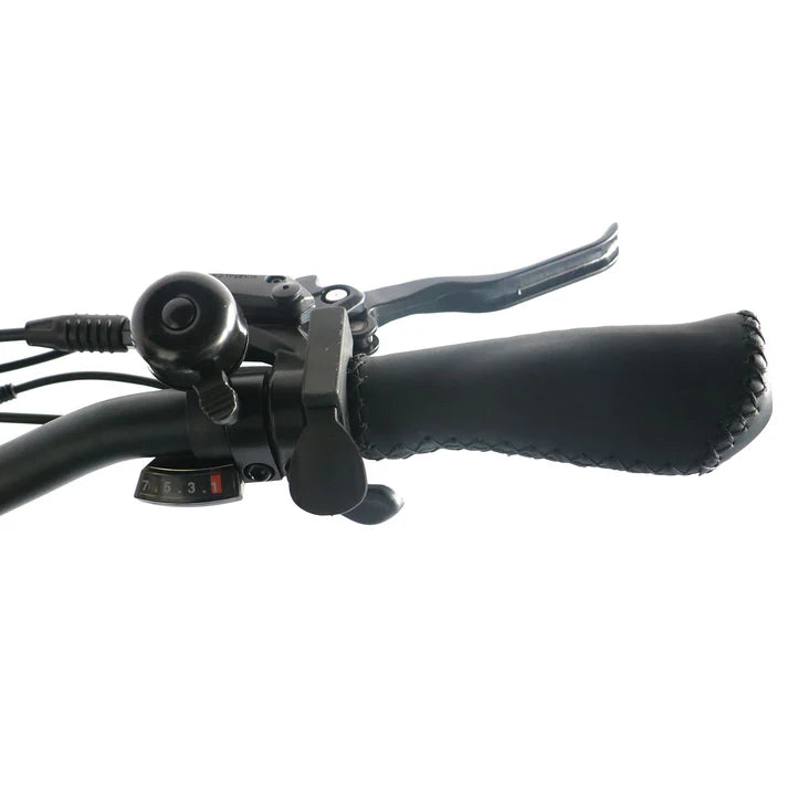 Electric Bike Coastal Cruiser Mini Throttle