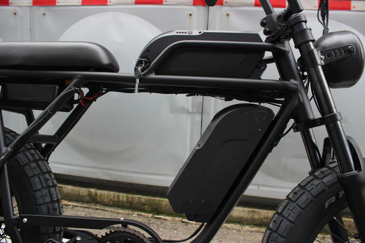 Electric Bike Coastal Cruiser Ripper Pro Frame