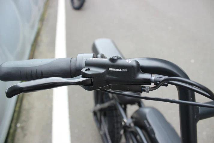 Electric Bike Coastal Cruiser Ripper Pro Throttle