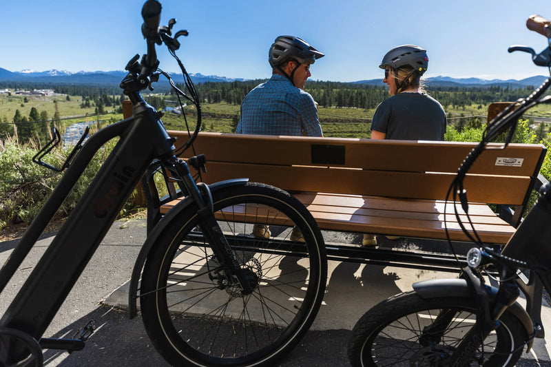 Electric Bike Dirwin Pacer Lite Bench