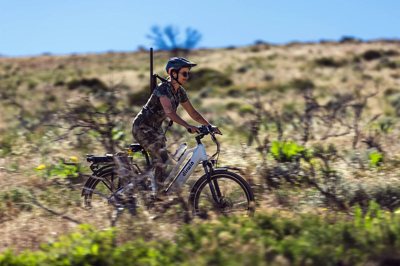 Electric Bike Dirwin Pacer Plus Woman Riding