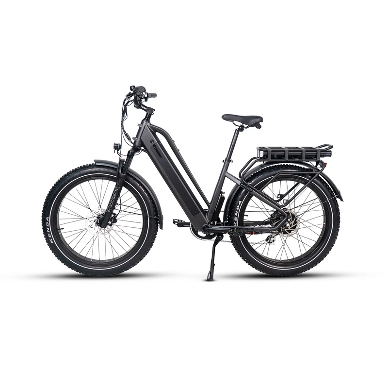 Electric Bike Dirwin Pioneer Plus MatteBlack Left