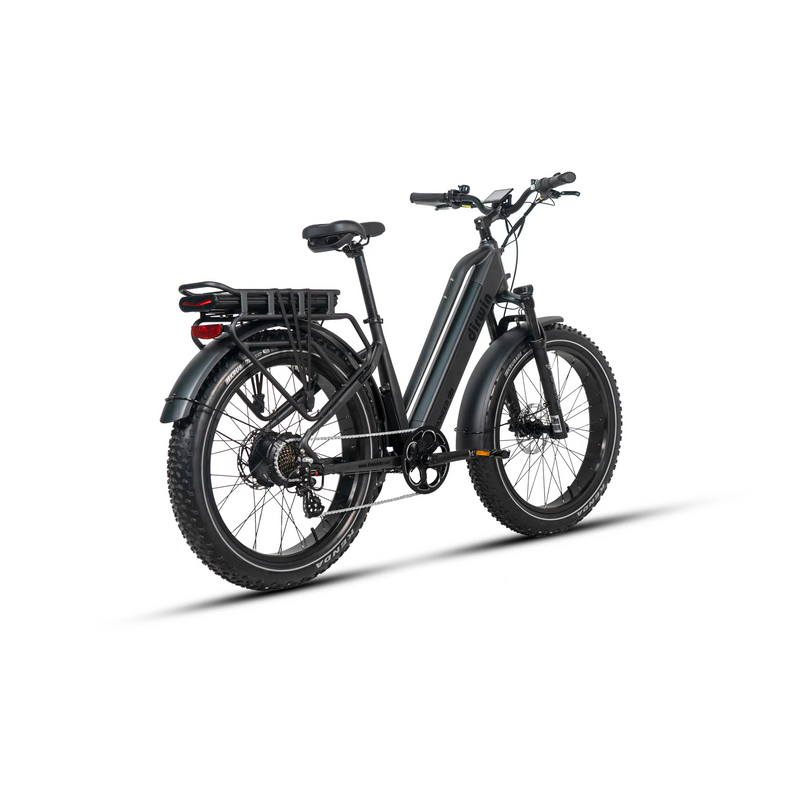 Electric Bike Dirwin Pioneer Plus MatteBlack Right Rear