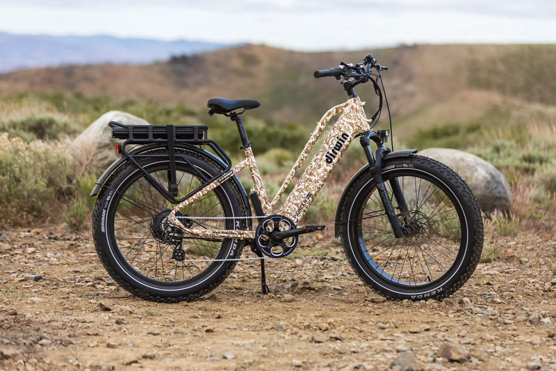 Electric Bike Dirwin Pioneer Plus Outside