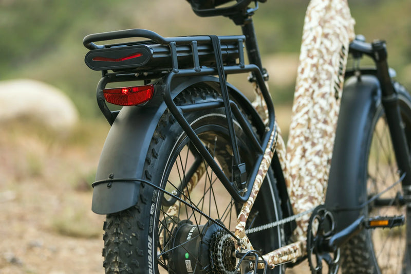 Electric Bike Dirwin Pioneer Plus Rack