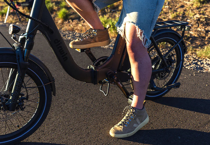 Electric Bike Dirwin Voyager Pedals