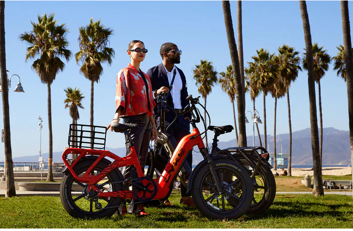 Electric Bike E-Joe Grizzly Beach