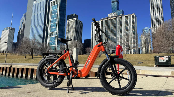 Electric Bike E-Joe E-Flow City