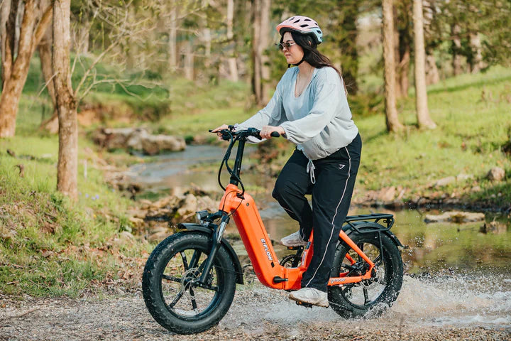 Electric Bike E-Joe E-Flow Creek