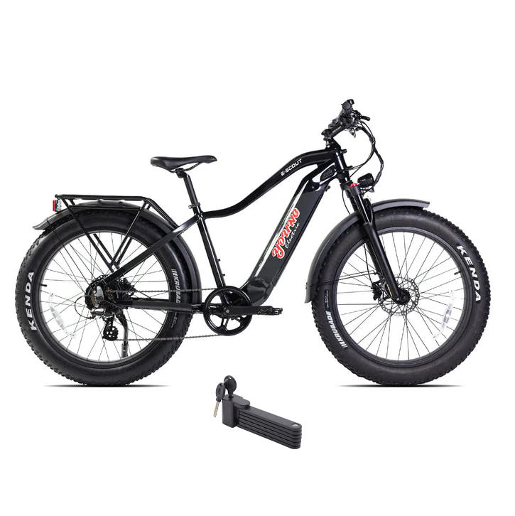 Electric Bike E-Joe E-Scout Black Right