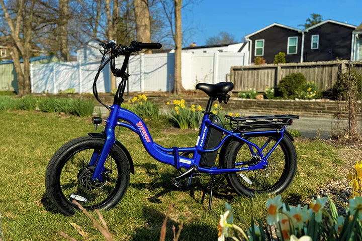 Electric Bike E-Joe Urban Town