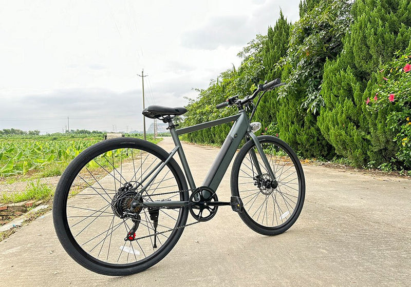 Electric Bike Freego E7 Road