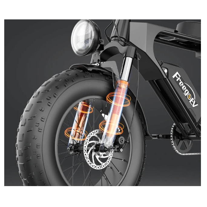 Electric Bike Freego F1 Fork