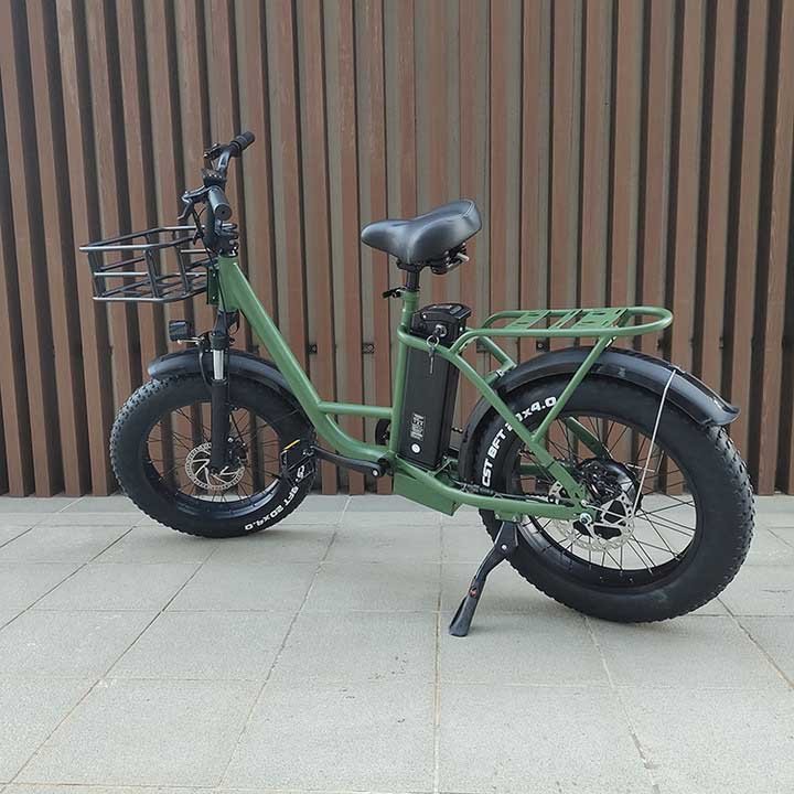 Electric Bike Freego FB-20X Wall