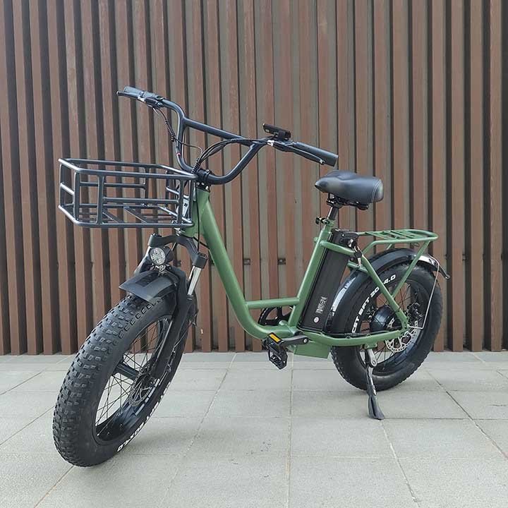 Electric Bike Freego FB-20X Wall