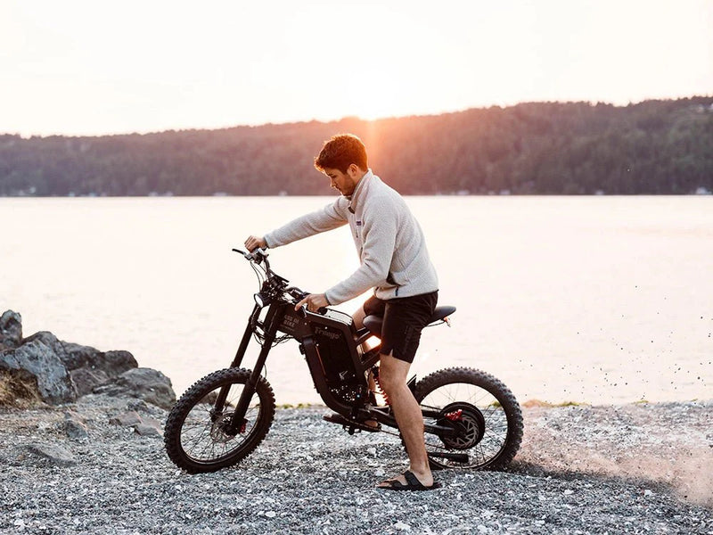 Electric Bike Freego X2 Lake