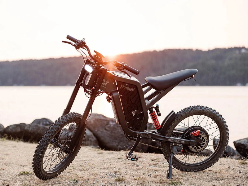 Electric Bike Freego X2 Lake