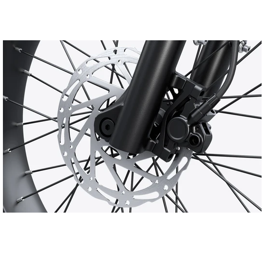 Electric Bike Himiway C3 Brake