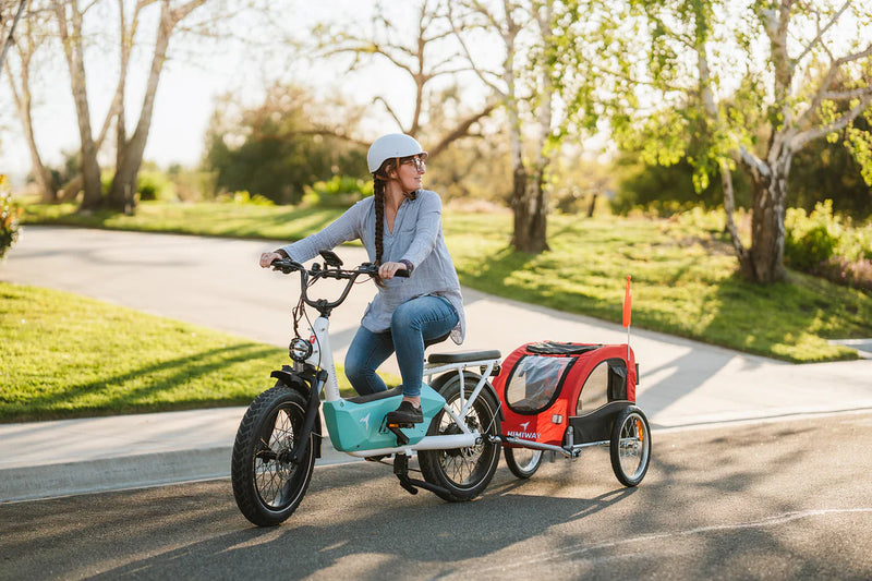 Electric Bike Himiway C3 Kid