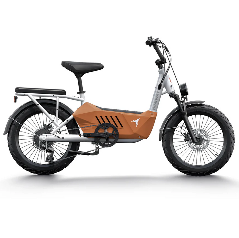 Electric Bike Himiway C3 Orange Right