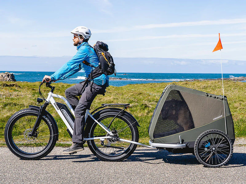 Electric Bike Himiway CruiserST Trailer