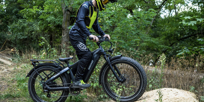 Electric Bike Himiway Zebra Forest