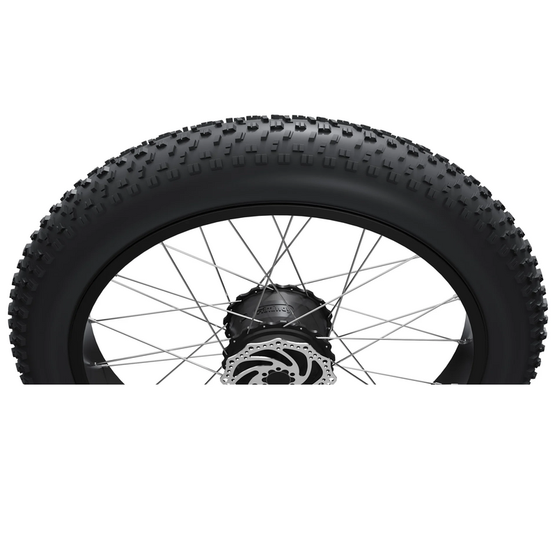 Electric Bike Himiway Zebra Tire