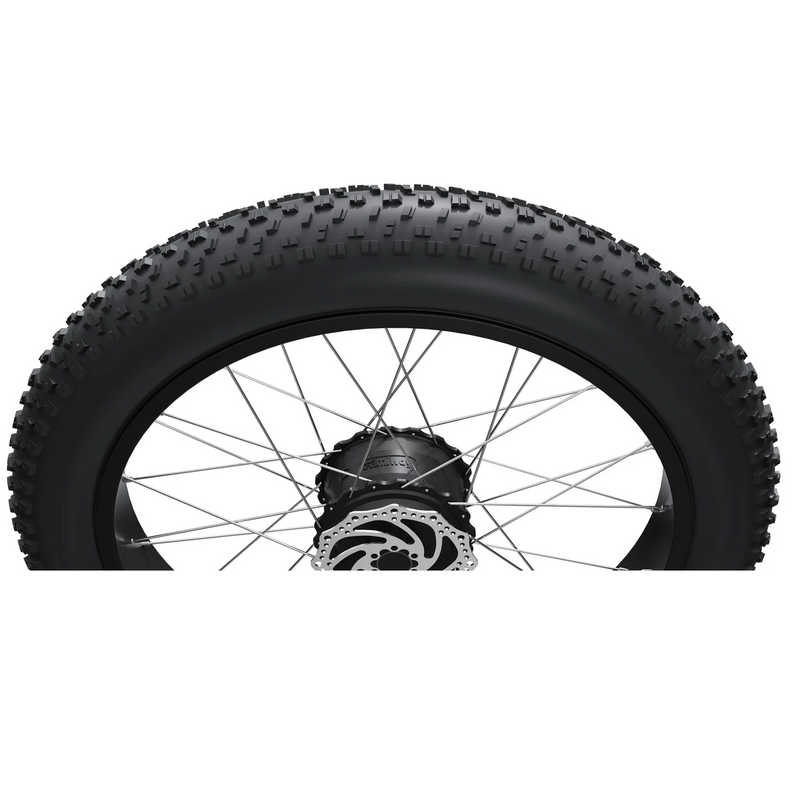 Electric Bike Himiway D5ZebraST Tire