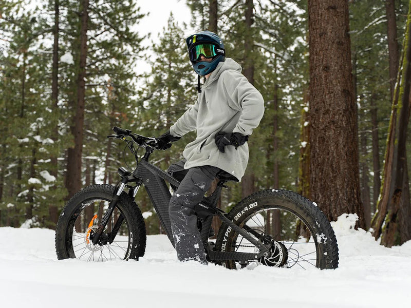 Electric Bike Himiway Cobra Snow