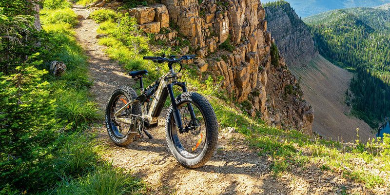 Electric Bike Himiway D7CobraPro Cliff