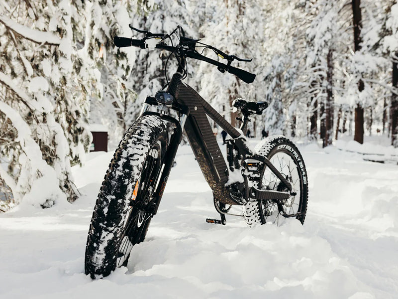 Electric Bike Himiway D7CobraPro Snow