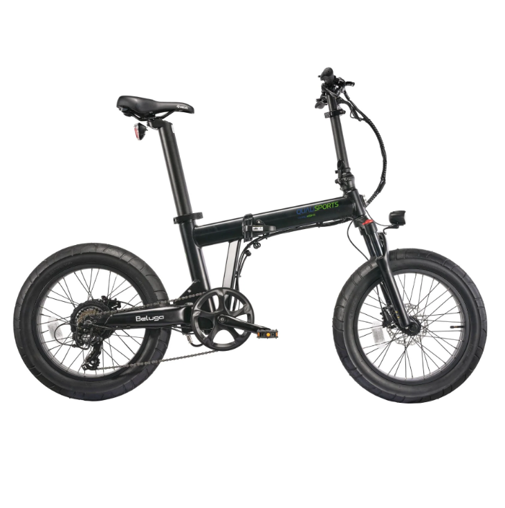 Electric Bike Qualisport Beluga Plus Black Right