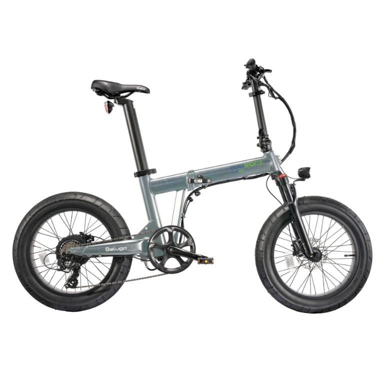 Electric Bike Qualisport Beluga Plus Grey Right