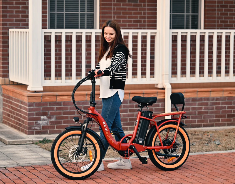 Electric Bike Revi Rebel.2 City