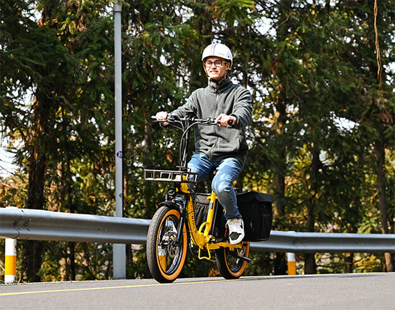 Electric Bike Revi Rebel.2 Street