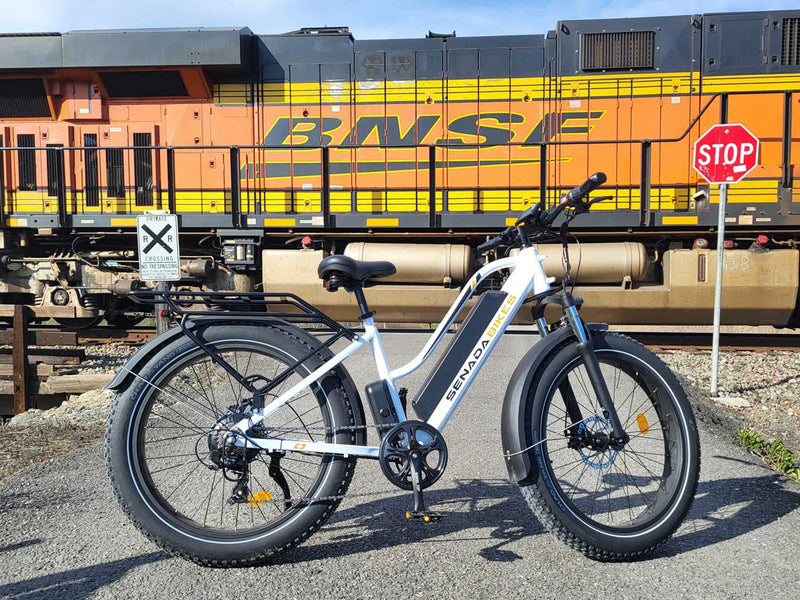 Electric Bike Senada Herald Pro Train