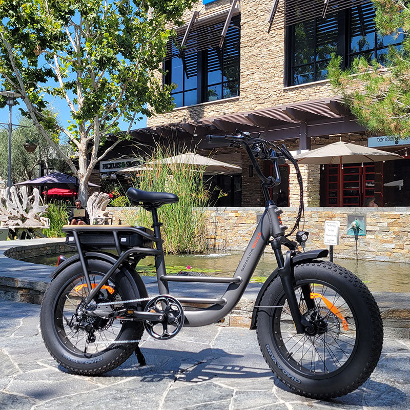 Electric Bike Senada Osprey City