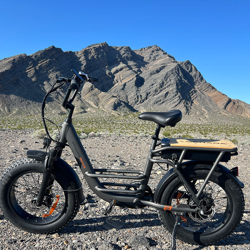 Electric Bike Senada Osprey Hills