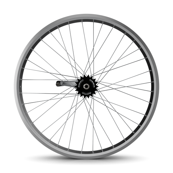 26" Fat Tire Coaster Brake Beach Cruiser Wheel - Silver - Rear Wheel Only