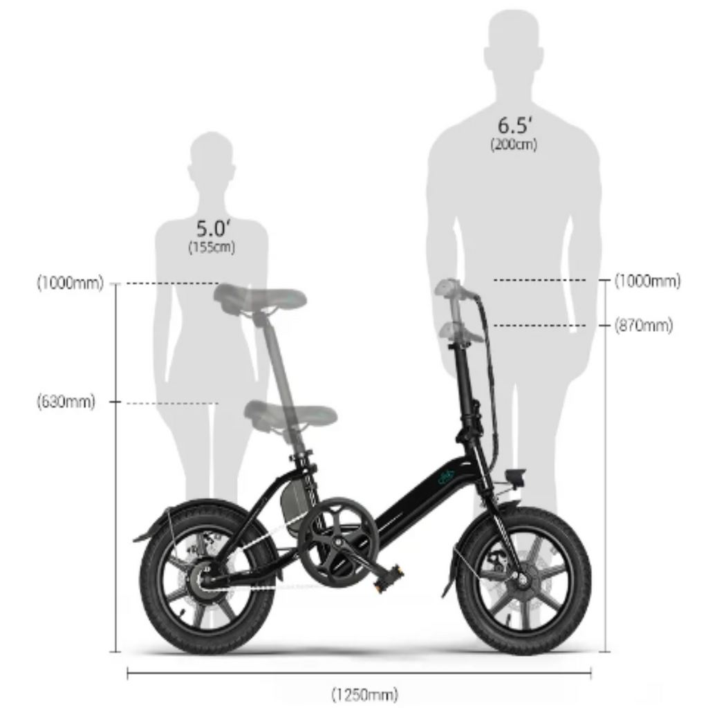 Fiido 250W D3 Pro Mini Electric Bike