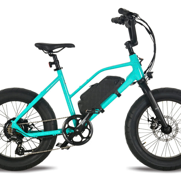 Fat Tire Electric Tandem Bicycle - Financing Available